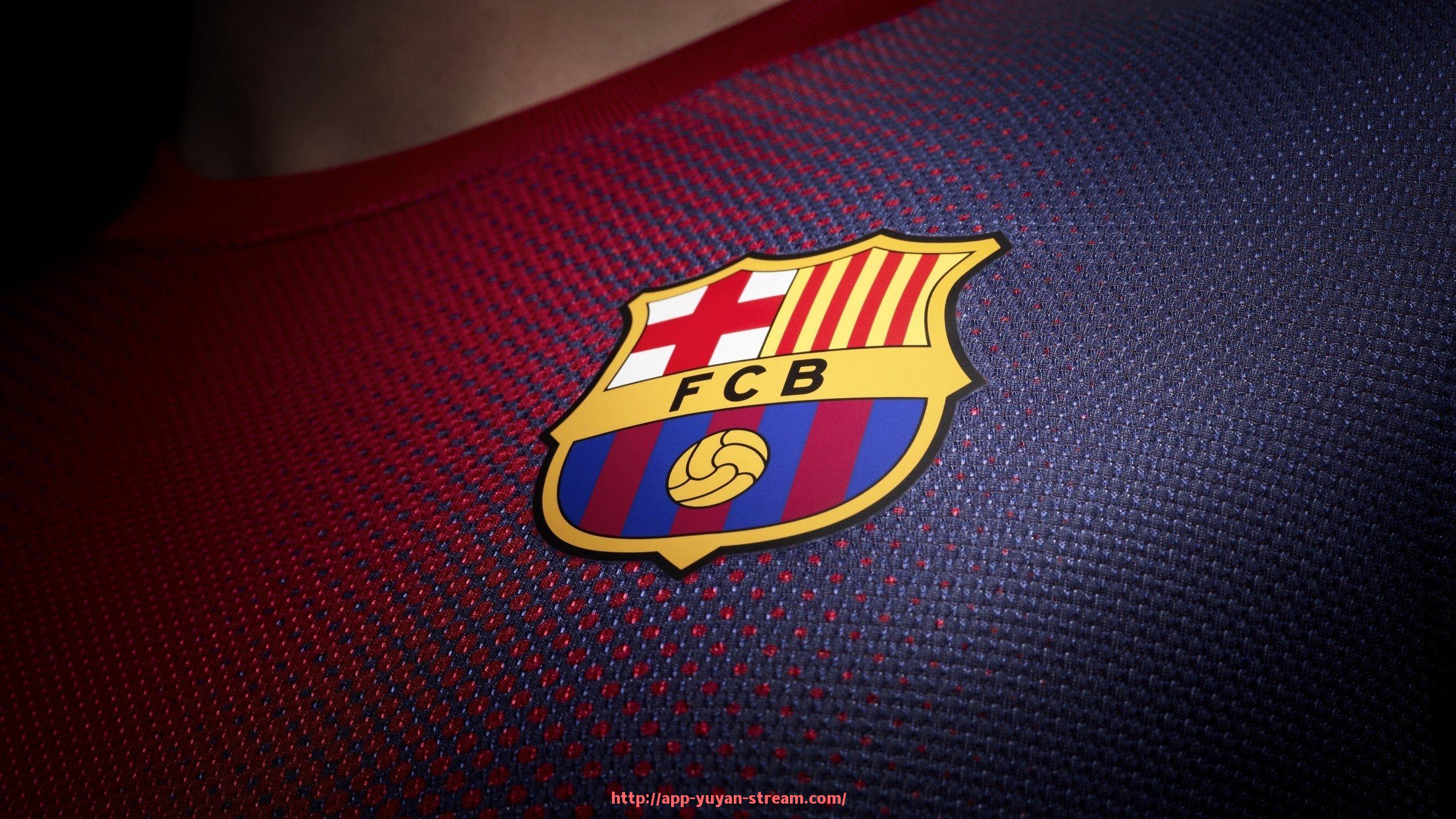 雨燕直播-世俱杯球员球袜品牌选择比例及市场份额分析