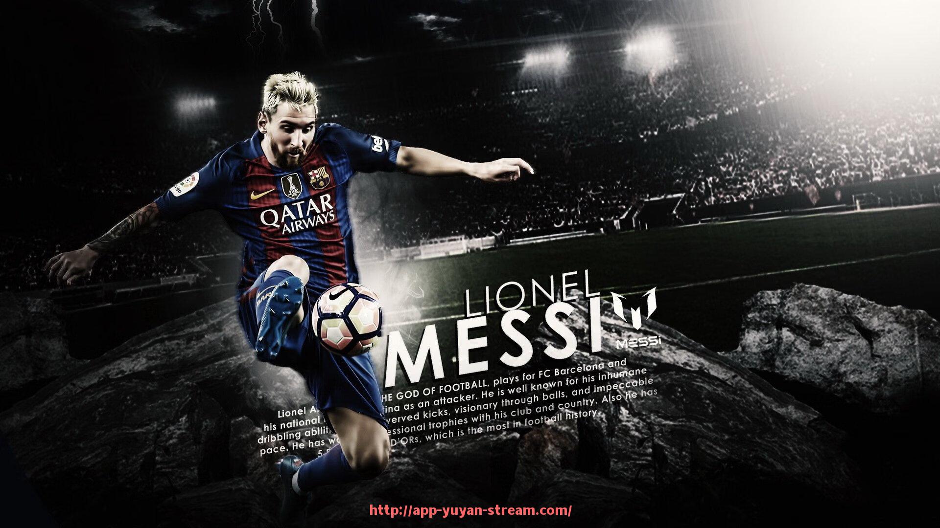 雨燕直播-济南健身器材购买地点与品牌选择：本地健身器材市场推荐