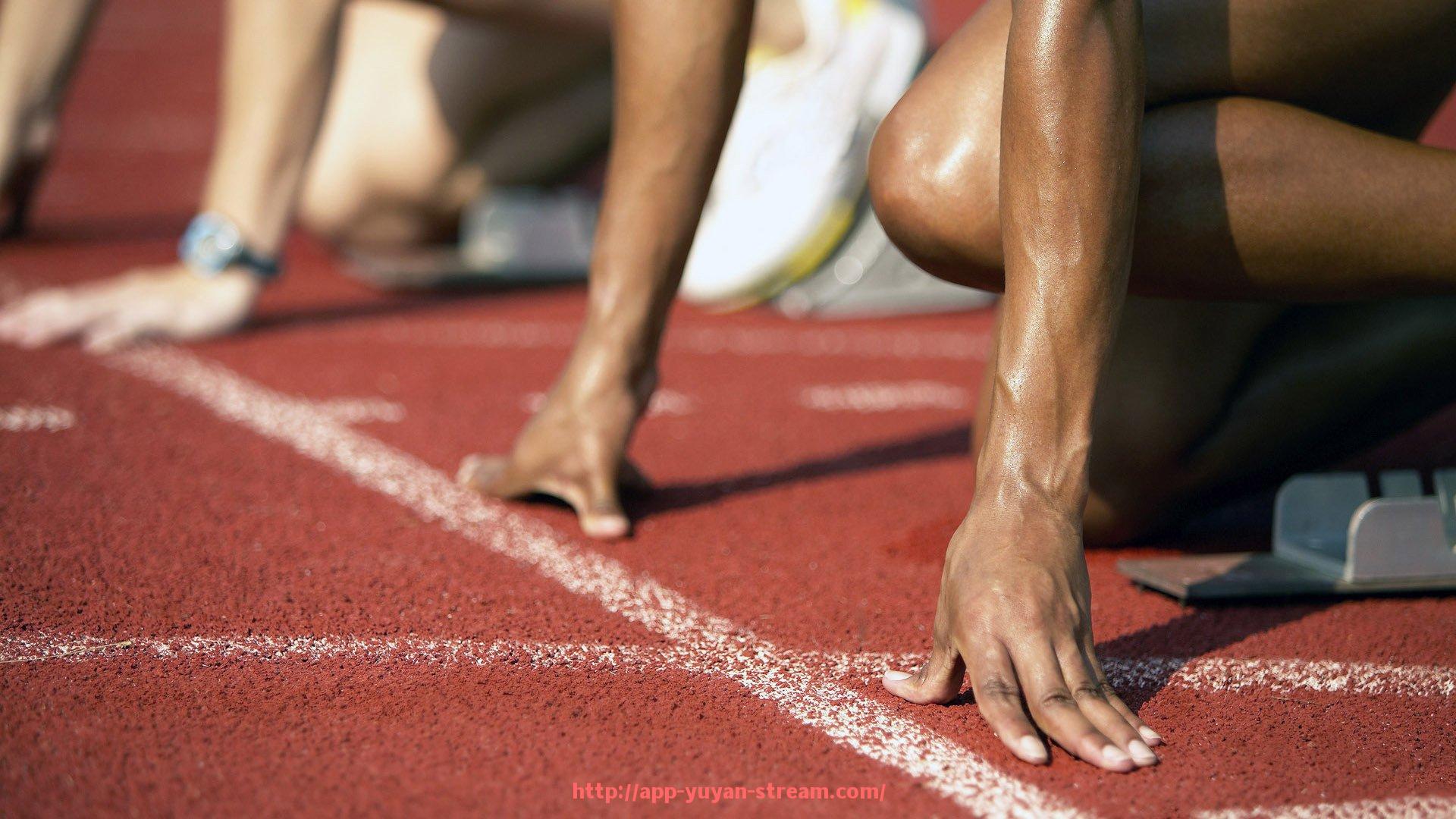 雨燕直播-法甲外援综合表现评估与球队贡献分析